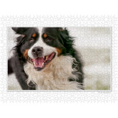 CALVENDO Puzzle CALVENDO Puzzle Emotionale Momente: Der beste Freund des Menschen. \/ CH-Version Пазл CALVENDO Пазл Эмоциональные моменты: Лучший друг человека. \/ версия CH