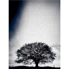 CALVENDO Puzzle CALVENDO Puzzle Marz: Die ersten Fruhlingssturme toben uber das Land und kunden vom Fruhling. Пазл CALVENDO Puzzle March: Первые весенние грозы бушуют по стране и весть о весне.