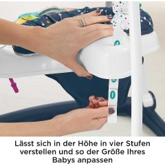 Mattel Fisher-Price Katzchen Astronaut Jumperoo Fisher-Price Kitten Astronaut Jumperoo