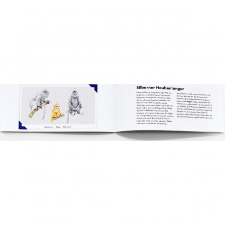 Laurence King Verlag Tierfamilien-Memo Памятка о семье животных