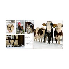 Coppenrath Verlag Meine liebsten Tiere im Winter Мои любимые животные зимой