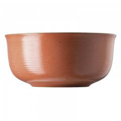Thomas Thomas Nature Coral Schussel d: 24 cm / 2,88 L Чаша Thomas Nature Coral d: 24 см / 2,88 л