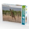 CALVENDO Puzzle CALVENDO Puzzle Giraffen im Etosha Nationalpark Пазл CALVENDO Puzzle Giraffes в национальном парке Этоша