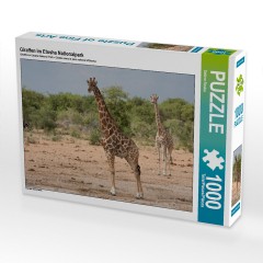 CALVENDO Puzzle CALVENDO Puzzle Giraffen im Etosha Nationalpark Пазл CALVENDO Puzzle Giraffes в национальном парке Этоша