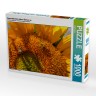 CALVENDO Puzzle CALVENDO Puzzle Sonnenblumen ziehen Bienen an Пазл CALVENDO Puzzle Подсолнухи привлекают пчел