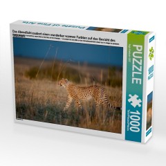 CALVENDO Puzzle CALVENDO Puzzle Das Abendlicht zaubert einen wunderbar warmen Farbton auf das Gesicht des Geparden. Головоломка CALVENDO Puzzle Вечерний свет создает на морде гепарда удивительно теплые тона.