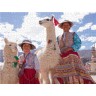 CALVENDO Puzzle CALVENDO Puzzle Frau und Madchen mit Lama und Alpaka Пазл CALVENDO Пазл женщина и девушка с ламой и альпакой