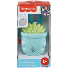 Mattel Beruhigende Pflanzenspieluhr fur unterwegs Музыкальная шкатулка с успокаивающими растениями для путешествий