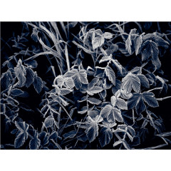 CALVENDO Puzzle CALVENDO Puzzle Emotionale Momente: Mein Trauerjahr Пазл CALVENDO Puzzle Эмоциональные моменты: Год моей скорби