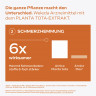 Weleda Arnika-Salbe 10%, 70 g, Мазь с арникой 10% для наружного применения при ушибах и растяжениях, 70 г