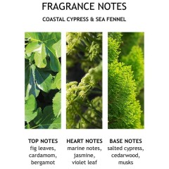 Molton Brown Coastal Cypress &amp; Sea Fennel Bath Salts  Соль для ванн с прибрежным кипарисом и морским фенхелем