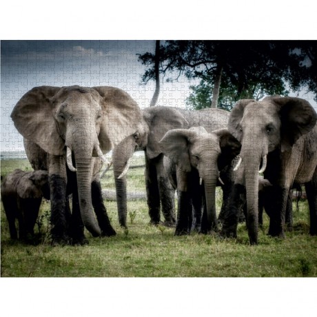 CALVENDO Puzzle CALVENDO Puzzle familly Пазл CALVENDO Puzzle family