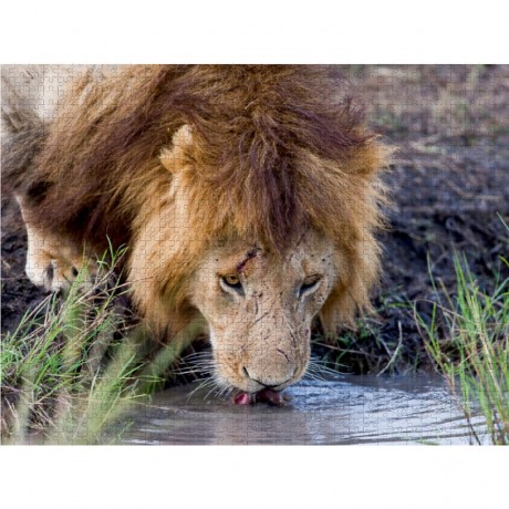 CALVENDO Puzzle CALVENDO Puzzle Emotionale Momente: Lowengesichter Пазл CALVENDO Puzzle Эмоциональные моменты: львиные морды