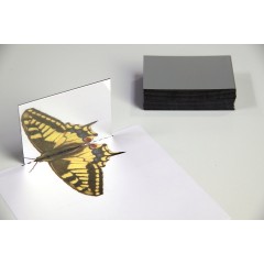 Wissner aktiv lernen Spiegel klein (25 Stuck) Маленькое зеркало (25 шт.)