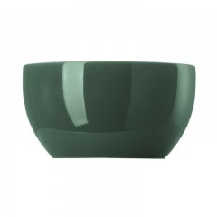 Thomas Thomas Sunny Day Herbal Green Zuckerschale 6 Personen 0,25 L Сахарница Thomas Sunny Day Herbal Green на 6 персон 0,25 л