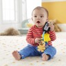 Mattel Fisher-Price Lernspass Baby Schlusselbund mit Licht und Gerauschen Детский обучающий брелок Fisher-Price со световыми и звуковыми эффектами