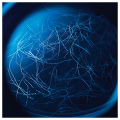 Biotherm Multi-Corrective Body Oil Мульти корректирующее масло для тела