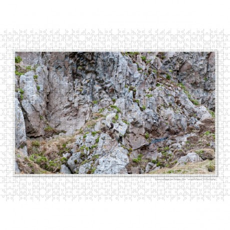 CALVENDO Puzzle CALVENDO Puzzle Emotionale Momente: Die Tierwelt der Arktis \/ CH-Version Пазл CALVENDO Puzzle Emotional Moments: The Animal World of the Arctic / CH version