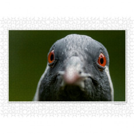 CALVENDO Puzzle CALVENDO Puzzle Emotional Moments: Die Augen der Tiere. Пазл CALVENDO Puzzle Emotional Moments: Глаза животных.