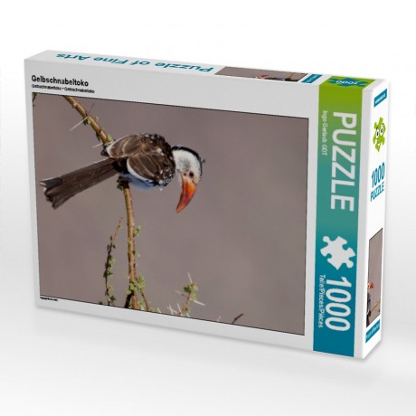 CALVENDO Puzzle CALVENDO Puzzle Gelbschnabeltoko Пазл CALVENDO Puzzle Желтоклювый Токо