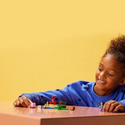 LEGO LEGO Minecraft 21177 Der Hinterhalt des Creeper LEGO Minecraft 21177 Засада Крипера