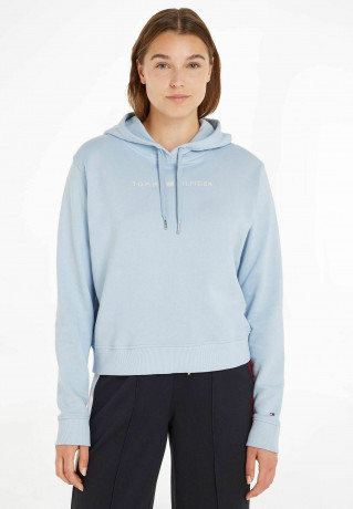 Tommy Hilfiger REG FROSTED CORP  Hoodie bleu  REG FROSTED CORP Толстовка с капюшоном синий