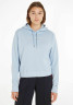 Tommy Hilfiger REG FROSTED CORP  Hoodie bleu  REG FROSTED CORP Толстовка с капюшоном синий