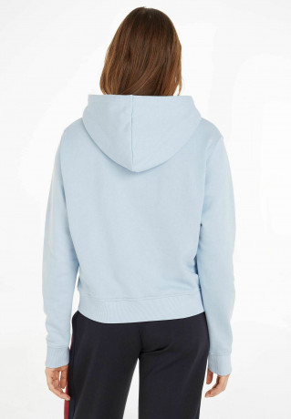 Tommy Hilfiger REG FROSTED CORP  Hoodie bleu  REG FROSTED CORP Толстовка с капюшоном синий