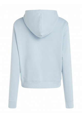 Tommy Hilfiger REG FROSTED CORP  Hoodie bleu  REG FROSTED CORP Толстовка с капюшоном синий