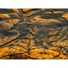 CALVENDO Puzzle CALVENDO Puzzle Emotional Moments: Sylt in Gold. Пазл CALVENDO Puzzle Emotional Moments: Sylt в золоте.