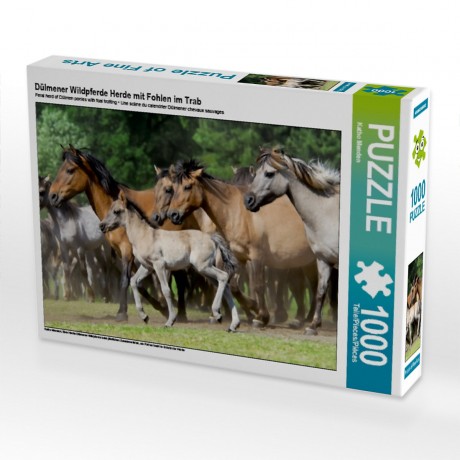 CALVENDO Puzzle CALVENDO Puzzle Dulmener Wildpferde Herde mit Fohlen im Trab Пазл CALVENDO Puzzle Dulmen стадо диких лошадей с жеребятами