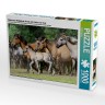 CALVENDO Puzzle CALVENDO Puzzle Dulmener Wildpferde Herde mit Fohlen im Trab Пазл CALVENDO Puzzle Dulmen стадо диких лошадей с жеребятами
