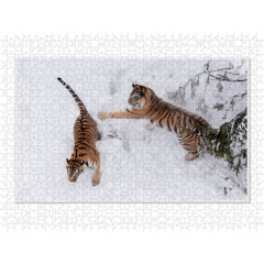 CALVENDO Puzzle CALVENDO Puzzle Emotionale Momente: Tiger Пазл CALVENDO Puzzle Эмоциональные моменты: тигр