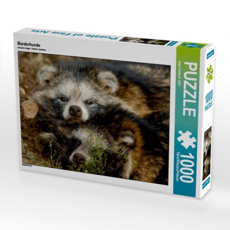 CALVENDO Puzzle CALVENDO Puzzle Marderhunde Пазл CALVENDO Пазл енотовидные собаки