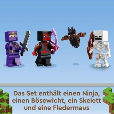 LEGO LEGO Minecraft 21183 Das Trainingsgelande LEGO Minecraft 21183 Тренировочная площадка