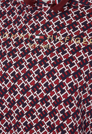 Tommy Hilfiger REG AO MONOGRAM Sweatshirt deep rouge multi REG AO МОНОГРАММА Толстовка глубокие румяна мульти