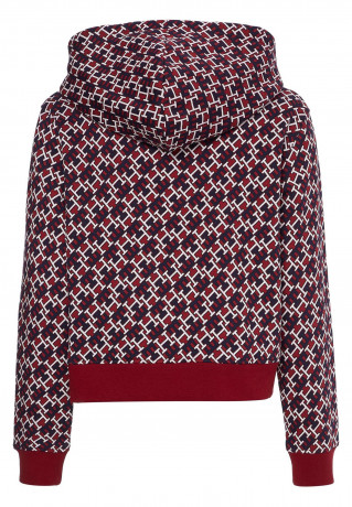Tommy Hilfiger REG AO MONOGRAM Sweatshirt deep rouge multi REG AO МОНОГРАММА Толстовка глубокие румяна мульти
