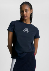 Tommy Hilfiger VARSITY LOGO Print T-shirt desert sky VARSITY LOGO Футболка с принтом небо пустыни