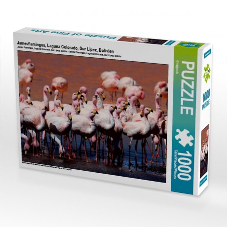 CALVENDO Puzzle CALVENDO Puzzle Jamesflamingos Пазл CALVENDO Пазл Джеймс Фламинго