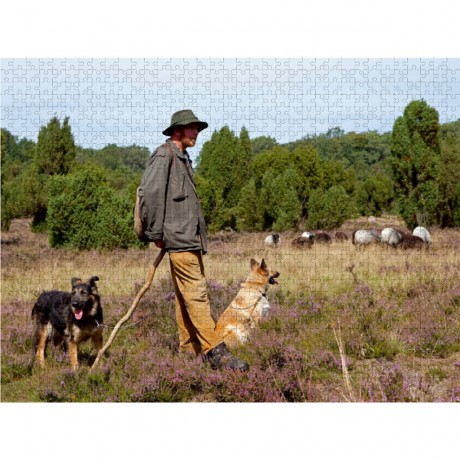 CALVENDO Puzzle CALVENDO Puzzle Schafer mit Heidschnuckenherde Пазл CALVENDO Пазл Пастух со стадом Heidschnucken