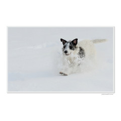 CALVENDO Puzzle CALVENDO Puzzle Emotionale Momente: Der beste Freund des Menschen. \/ CH-Version Пазл CALVENDO Пазл Эмоциональные моменты: Лучший друг человека. \/ версия CH