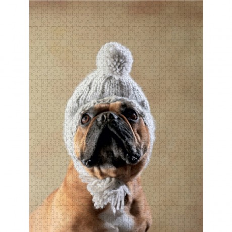 CALVENDO Puzzle CALVENDO Puzzle Digger Пазл CALVENDO Puzzle Digger