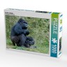 CALVENDO Puzzle CALVENDO Puzzle Gorilla mit Baby Пазл CALVENDO Пазл горилла с малышом