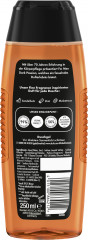 Fa Men Dark Passion Duschgel 250 ml, Мужской гель для душа FA Dark Passion 3 в 1 для тела, лица и волос, 250 мл