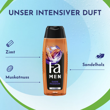 Fa Men Dark Passion Duschgel 250 ml, Мужской гель для душа FA Dark Passion 3 в 1 для тела, лица и волос, 250 мл