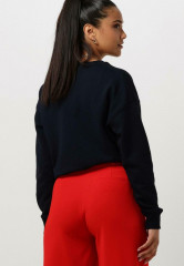 Tommy Hilfiger REG MONOTYPE EMB Sweatshirt blauw REG MONOTYPE EMB Толстовка синий и белый