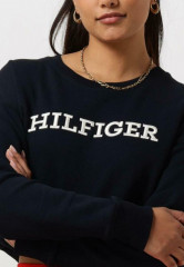 Tommy Hilfiger REG MONOTYPE EMB Sweatshirt blauw REG MONOTYPE EMB Толстовка синий и белый