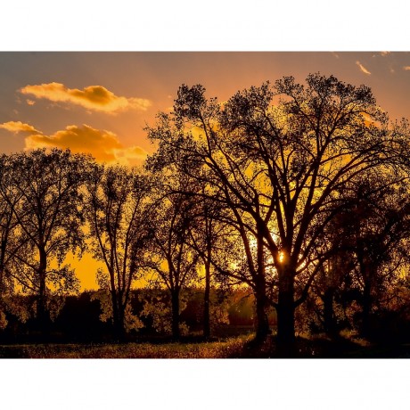 CALVENDO Puzzle CALVENDO Puzzle Sonnenlicht Пазл CALVENDO Puzzle Солнечный свет