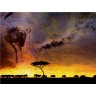 CALVENDO Puzzle CALVENDO Puzzle Emotionale Momente: African Dreams Пазл CALVENDO Puzzle Emotional Moments: African Dreams
