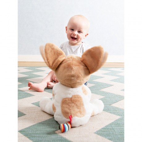 ZaZu Singender Hund Danny Дэнни поет собака